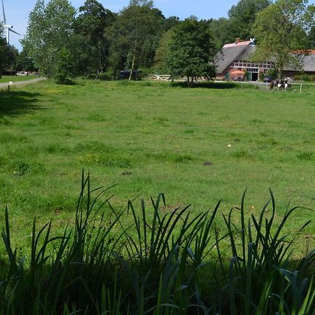 Ferienwohnung Suderfeld Brake  Bagian luar foto
