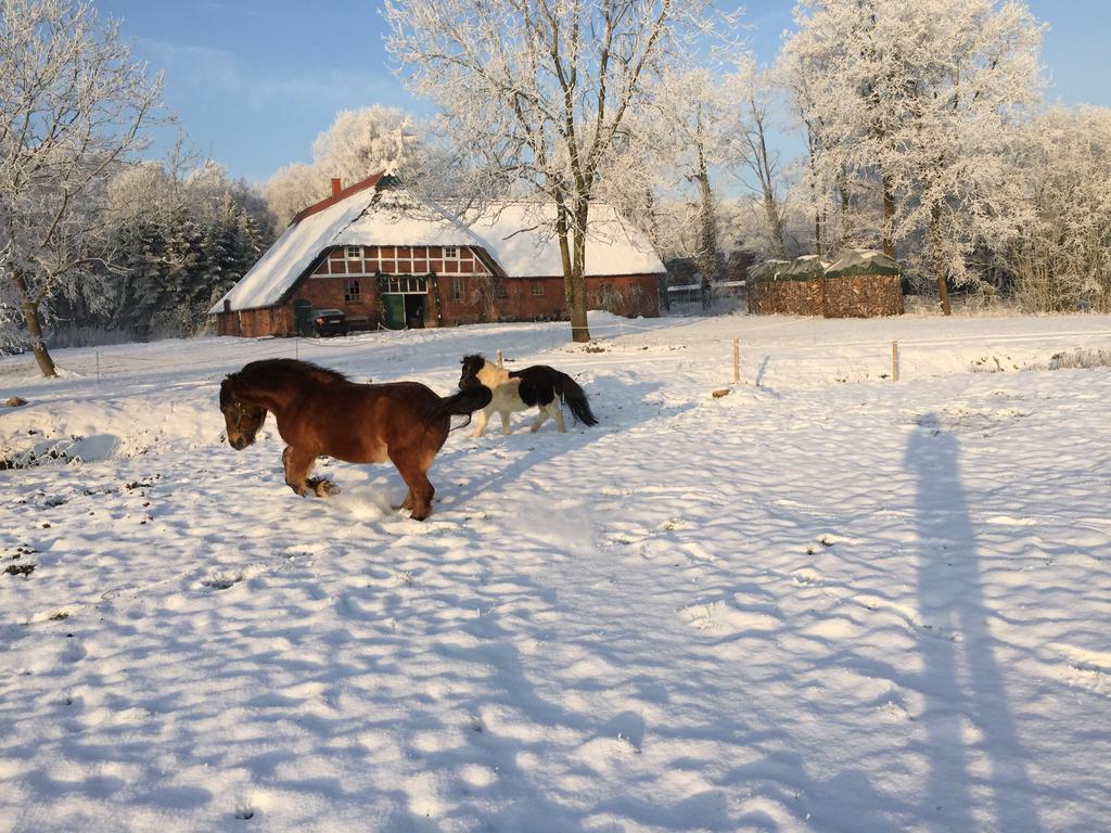 Ferienwohnung Suderfeld Brake  Bagian luar foto