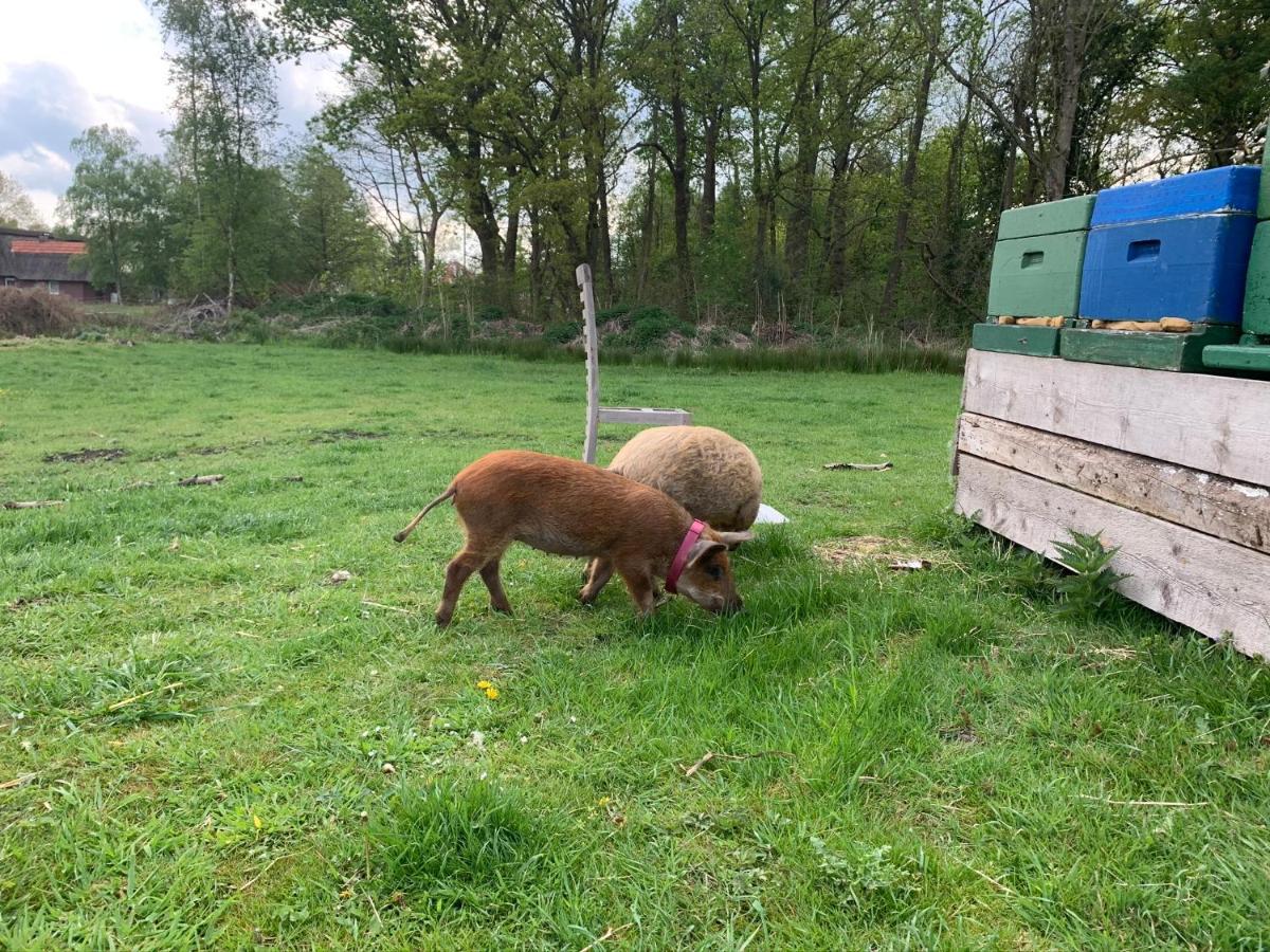 Ferienwohnung Suderfeld Brake  Bagian luar foto