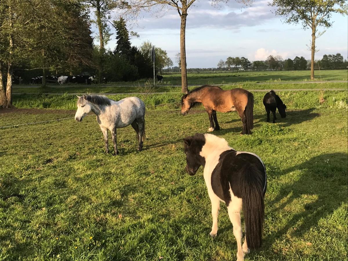 Ferienwohnung Suderfeld Brake  Bagian luar foto